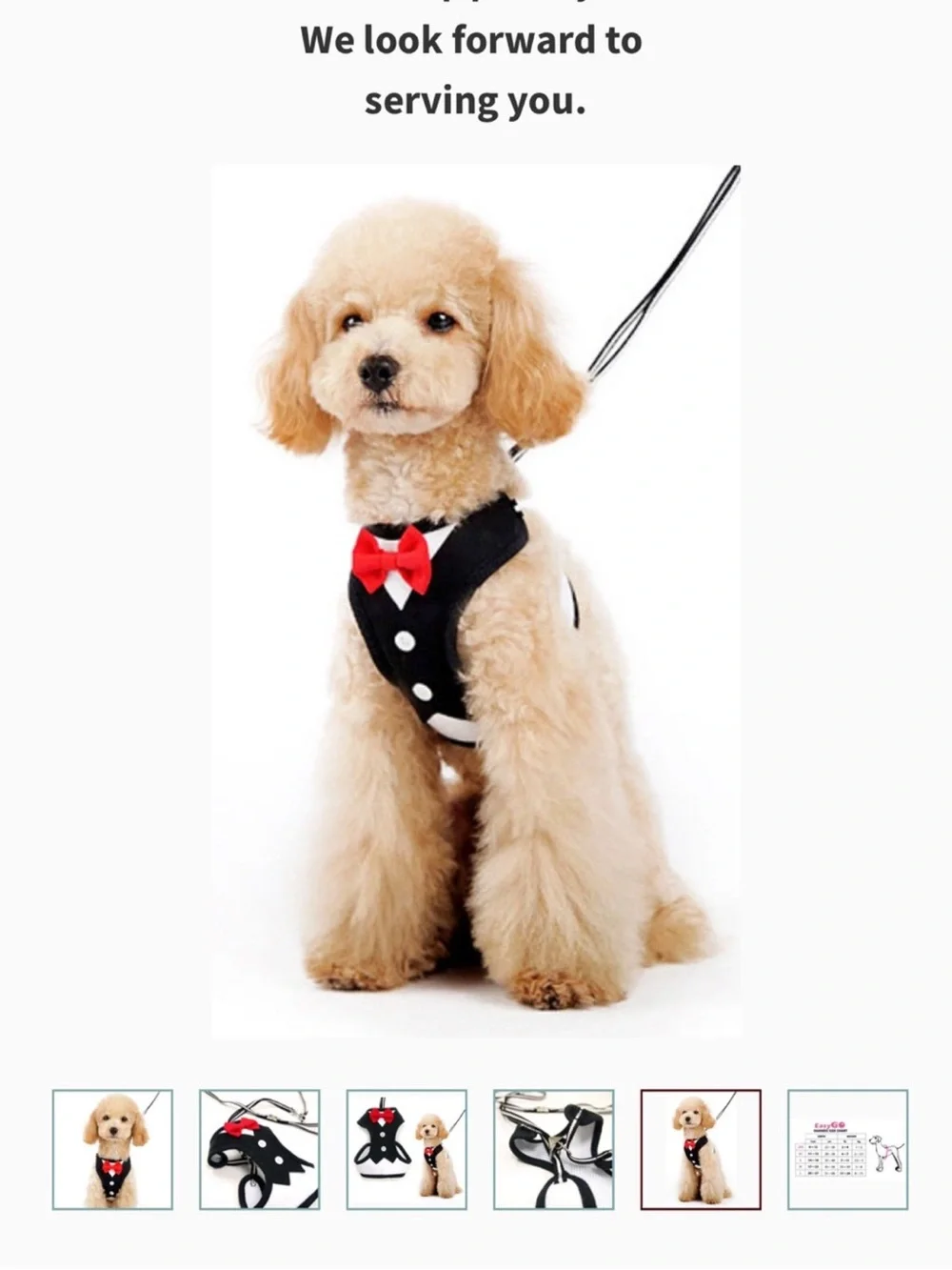 Black Dog Tuxedo Harness with Red Bow Accent - Formal Pet Harness new xs